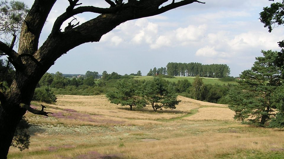 LSG Hellberge bei Franzburg - Foto: NABU Nordvorpommern