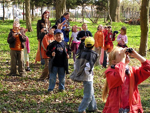 Schüler aus Niepars beobachten den Kleiber