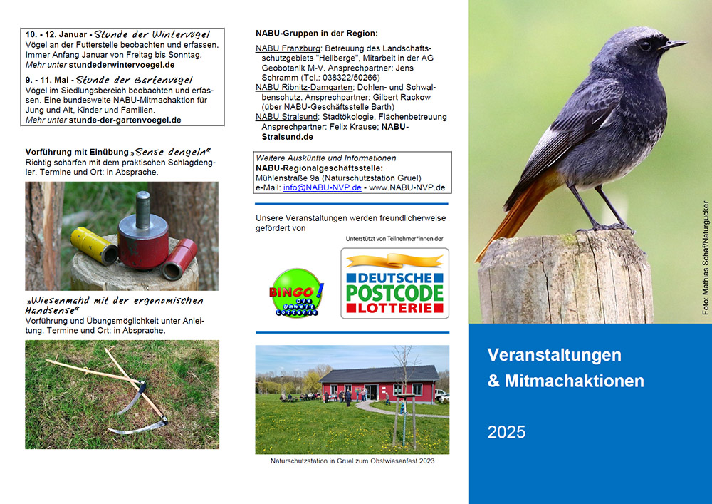 Jahresprogramm als PDF laden ...