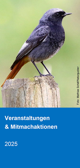 Jahresprogramm als PDF laden ...